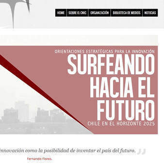 Diseño Web CNIC